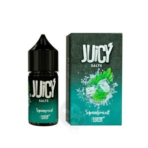 خریدسالت نعناع جویسی (30میل) JUICY SPEARMINT