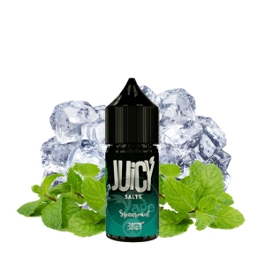 خریدسالت نعناع جویسی (30میل) JUICY SPEARMINT